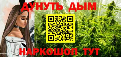 соль ск Славгород