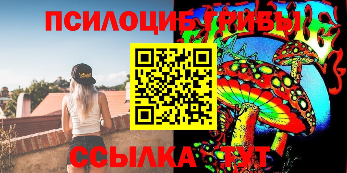 купить   Галлюциногенные грибы Psilocybe  Вход с VPN  Ростов Великий 