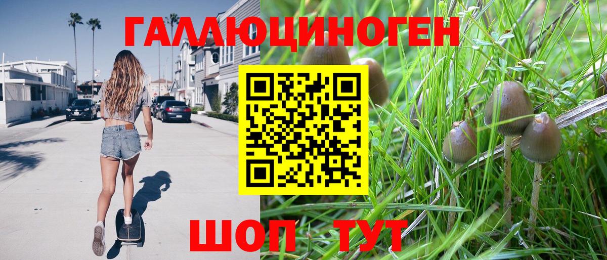Галлюциногенные грибы мухоморы Ростов Великий